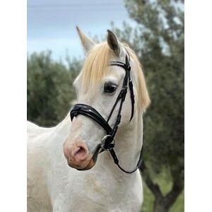 Bridon dressage Anky anatomique noir con