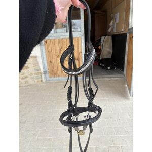 Bridon décathlon taille COB