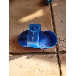 petite étrille bleue