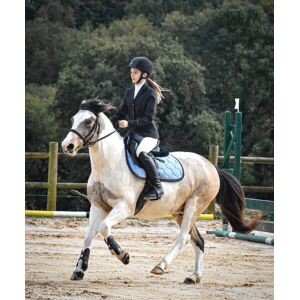 Tapis equidee bleu clair
