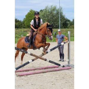 martingale