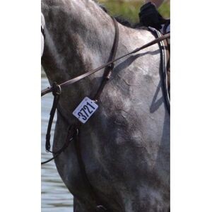 Martingale CWD