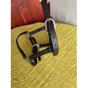Licol cuir foal/poulain
