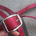 Licol + longe Fouganza