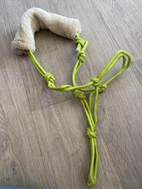 licol éthologique