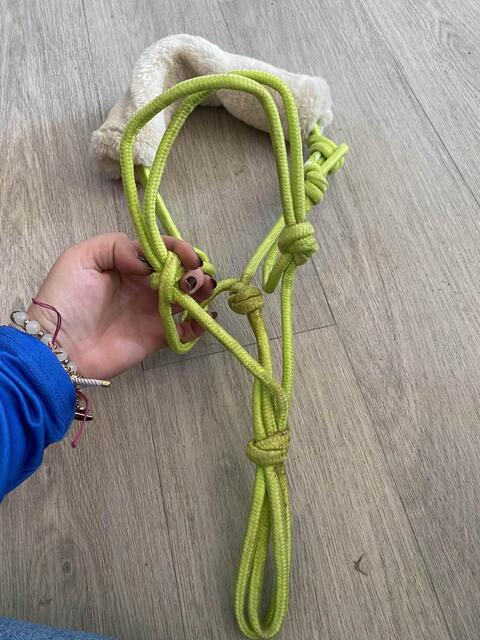 licol éthologique