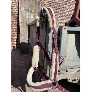 lot (licol, longe de travail, protection)