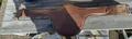 sangle bavette havane 135cm