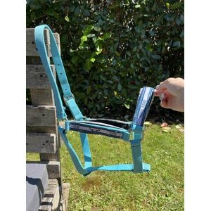 licol bleu