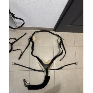 Bridon/ Filet Claridge House + rênes Pénélope + Collier de Chasse