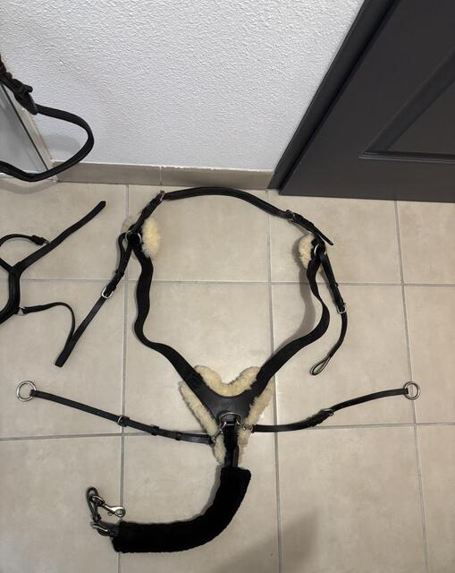 Bridon/ Filet Claridge House + rênes Pénélope + Collier de Chasse