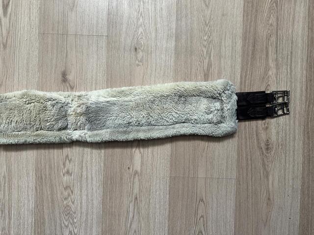 Sangle Kentucky mouton