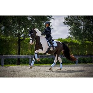 Ensemble Equito dressage Morning sky