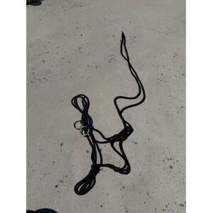 licol éthologique