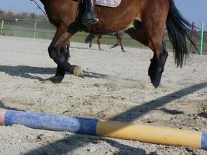Bande de polo noire jumptec