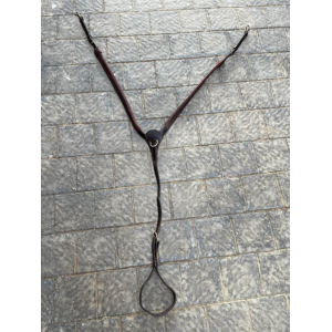 collier de chasse cwd