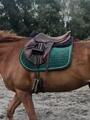 Tapis Kentucky velvet vert sapin