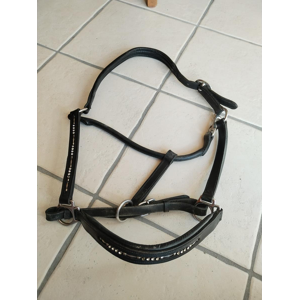 Licol cuir