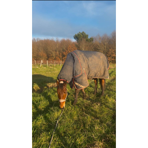 Couverture Titan Trio cheval
