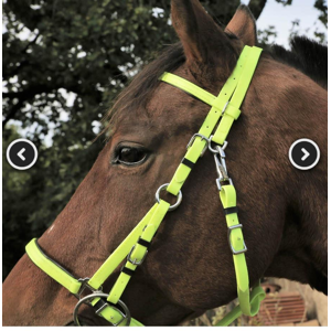 BRIDON ENDURANCE jaune fluo
