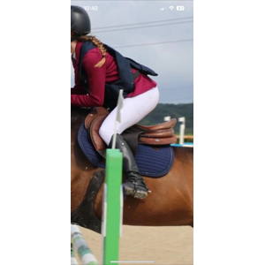 Amortisseur ACAVALLO