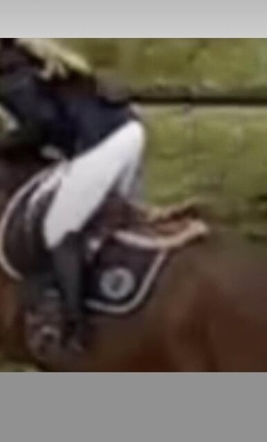 Pantalon de concours pikeur prisca