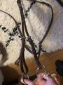 Collier de chasse-marringale marron