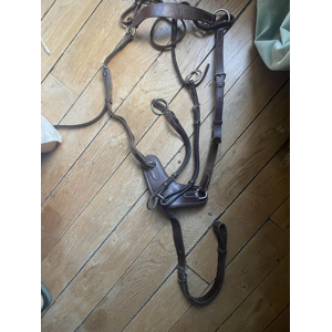 Collier de chasse - martingale Poney Marron