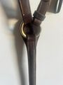 collier de chasse CWD