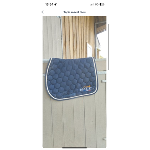 Tapis bleu