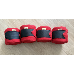Passional Bandes de polo
