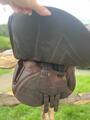 Selle renaissance 17,5