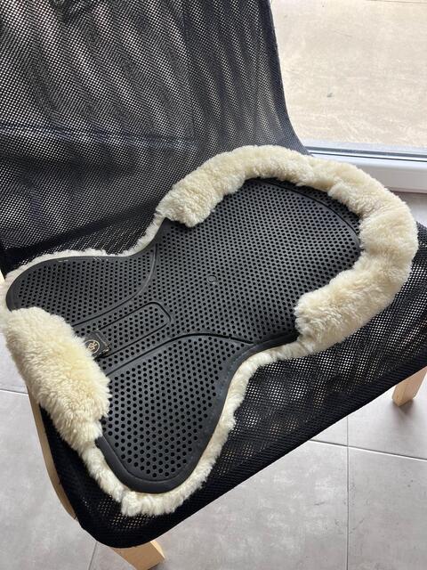 Amortisseur Mouton et gel