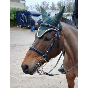 Bridon poney noir