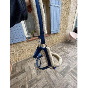 licol bleu