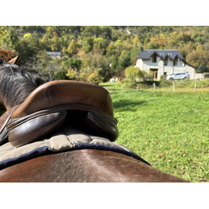 Selle mixte