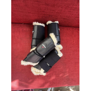 protection Lemieux