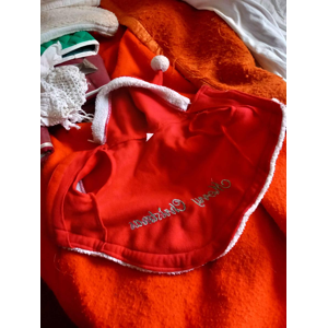 costume de Noël pour un petit chien