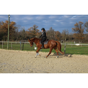 Tapis et bonnet