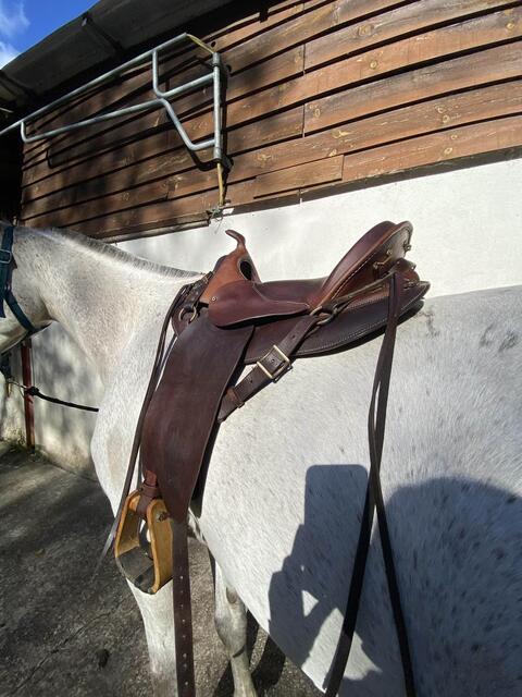 selle TH taille 17,5 numérotée