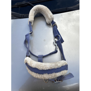 Licol bleu poney
