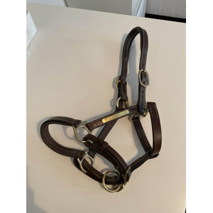 Licol en cuir Éric Thomas + longes d’attache