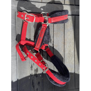 Licol rouge