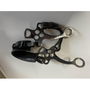 Hackamore horze