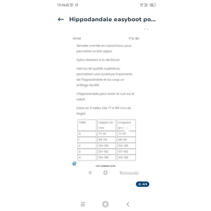 Hippodandale easyboot poney