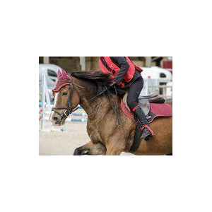 ⚠Ensemble bonnet et tapis