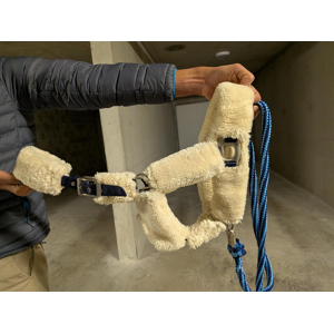 LICOL MOUTON