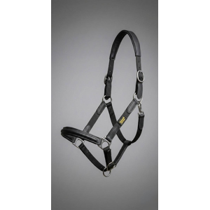 Licol "RX Indestructible" | Cuir Vegan Japonais & Inox Massif 🛡️