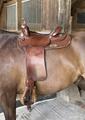 Selle Western Diamond C