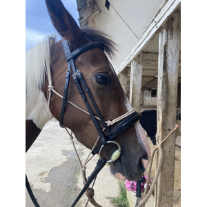 Filet Eric Thomas Work COB